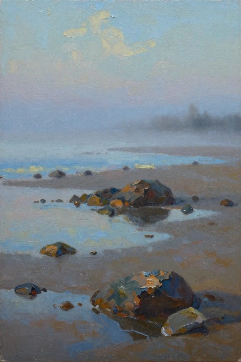 Misty shoreline with scattered wet rocks reflecting in shallow tidal pools