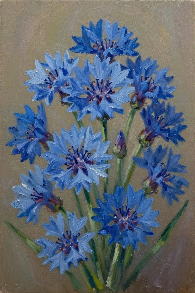 Vibrant blue cornflowers with layered petals on green stems against a muted background.