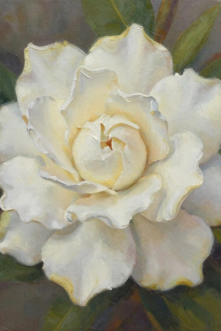 Close-up of a blooming white camellia with layered petals and green leaves.