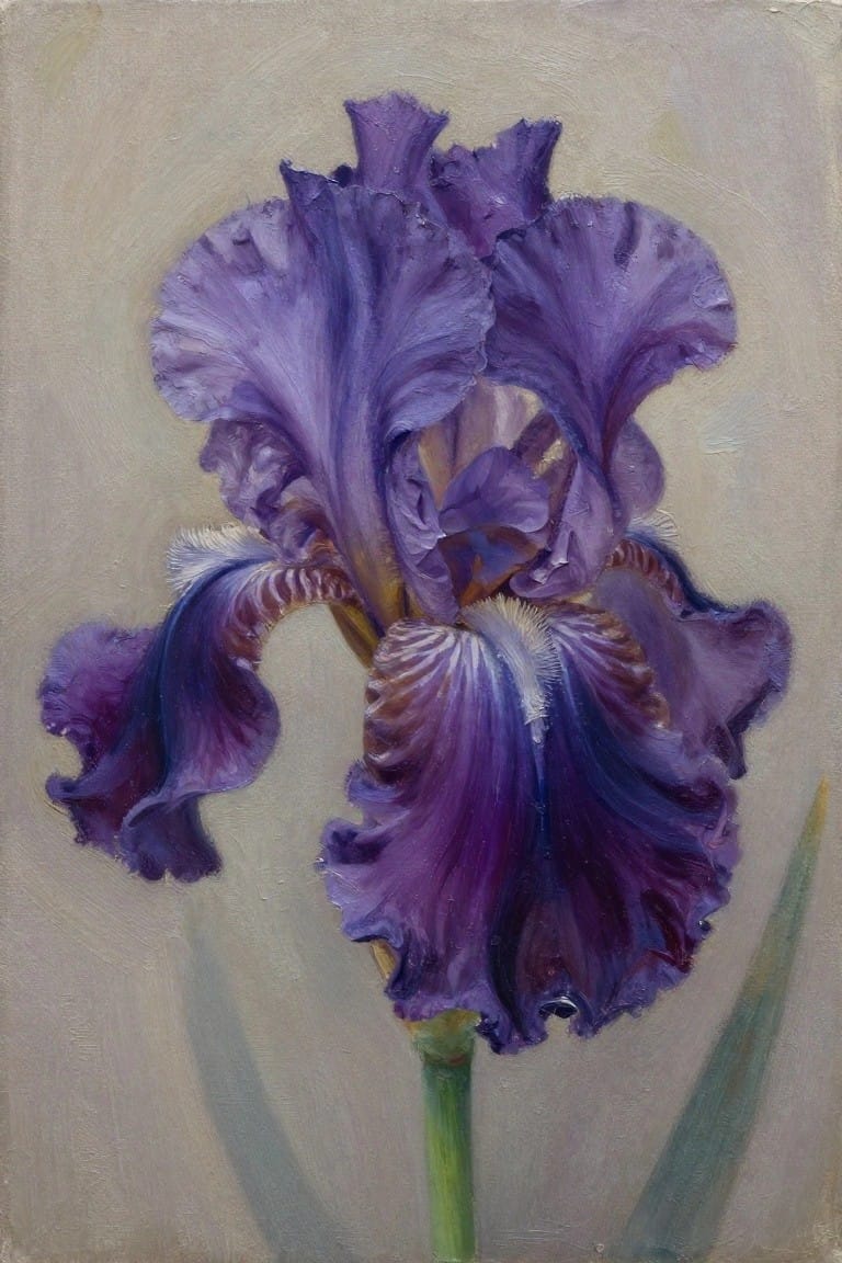 Purple iris with ruffled petals in oil painting style on neutral background.