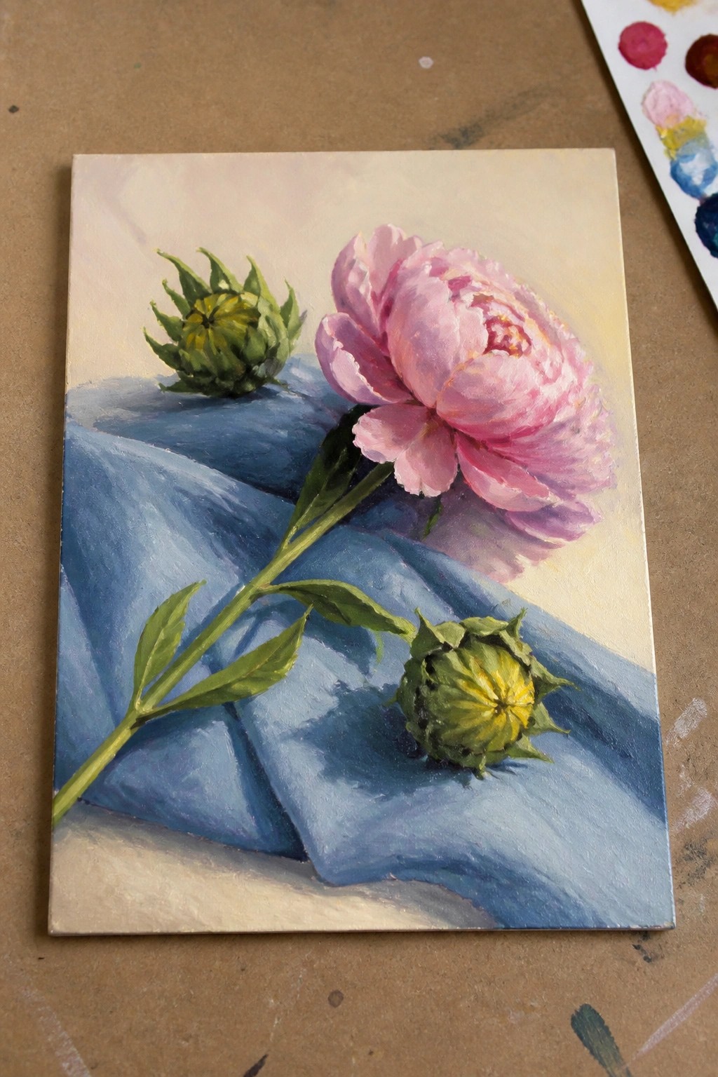 Painting of pink peony with green buds on draped blue fabric.