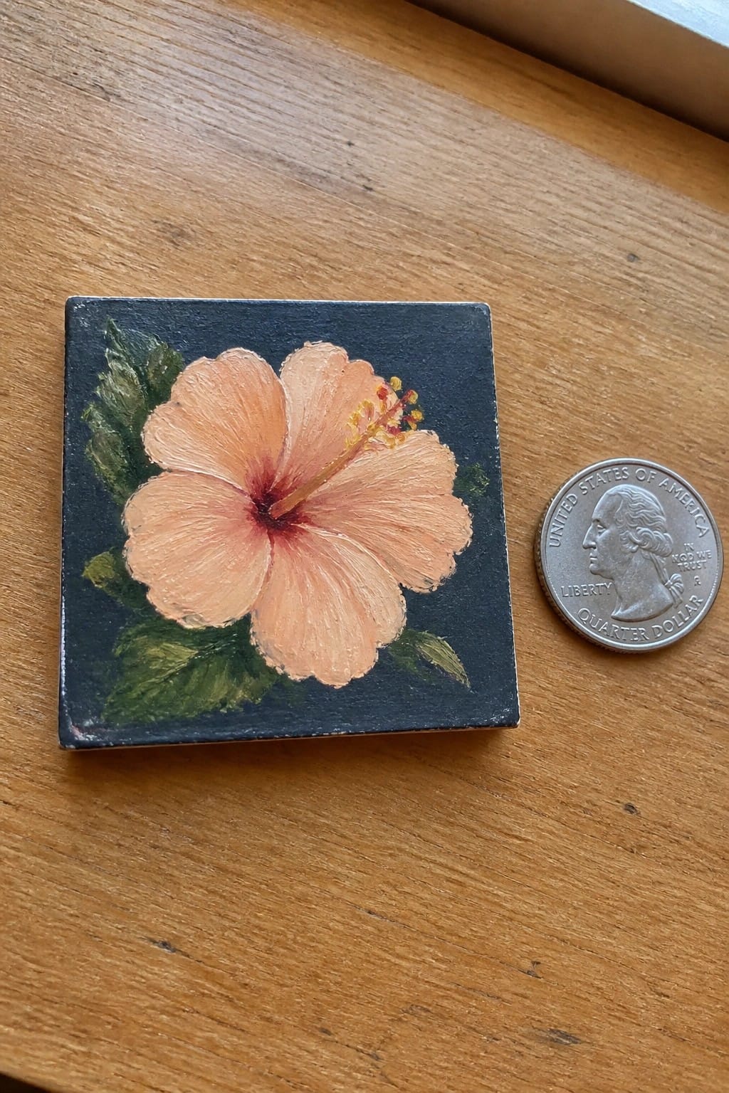 Peach hibiscus flower painting on small black canvas beside US quarter on wood