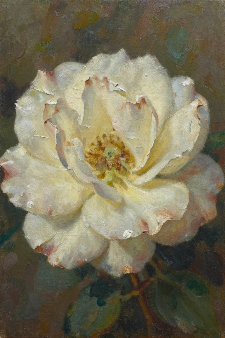 Close-up of a blooming white rose with layered creamy petals and yellow center.